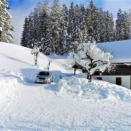 Vila Natur Pur Pikovo Crna na Koroskem Exteriér fotografie