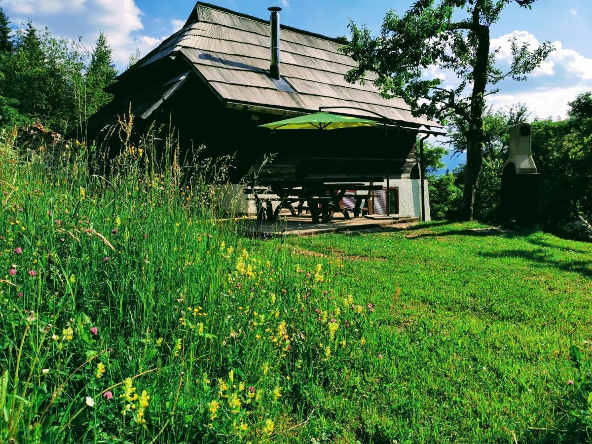 Vila Natur Pur Pikovo Crna na Koroskem Exteriér fotografie