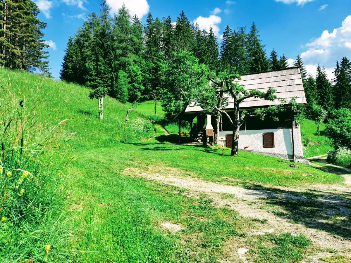 Vila Natur Pur Pikovo Crna na Koroskem Exteriér fotografie