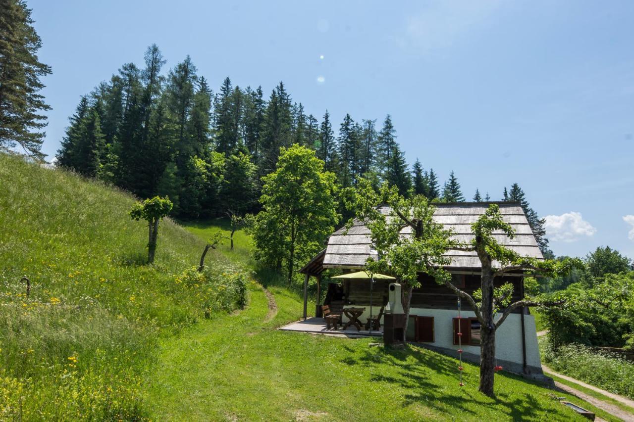 Vila Natur Pur Pikovo Crna na Koroskem Exteriér fotografie