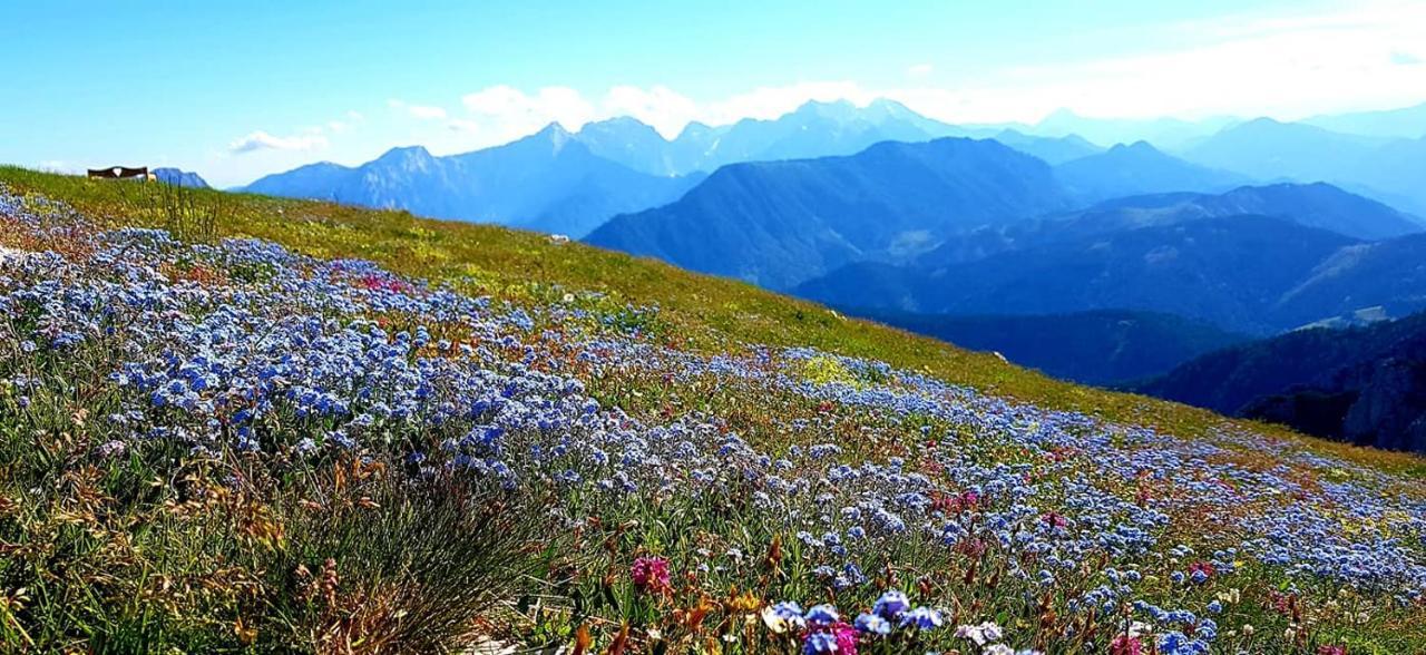 Vila Natur Pur Pikovo Crna na Koroskem Exteriér fotografie