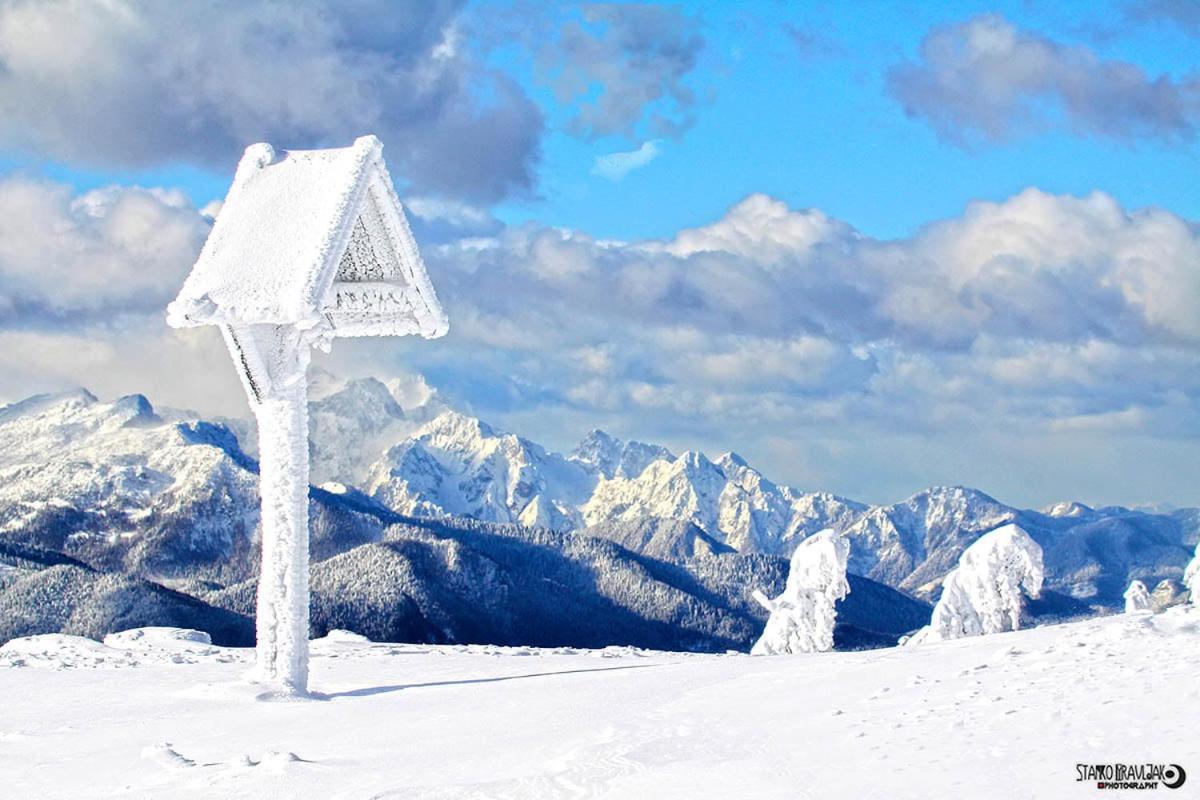 Vila Natur Pur Pikovo Crna na Koroskem Exteriér fotografie