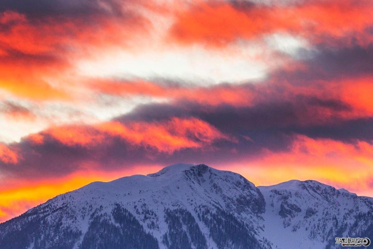 Vila Natur Pur Pikovo Crna na Koroskem Exteriér fotografie