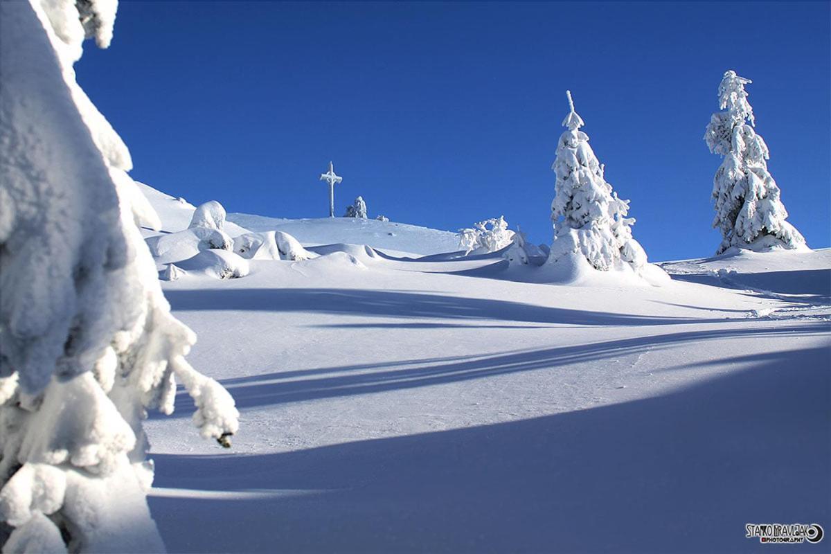 Vila Natur Pur Pikovo Crna na Koroskem Exteriér fotografie