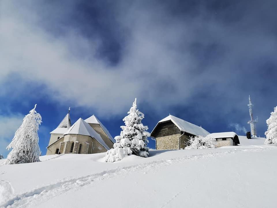 Vila Natur Pur Pikovo Crna na Koroskem Exteriér fotografie