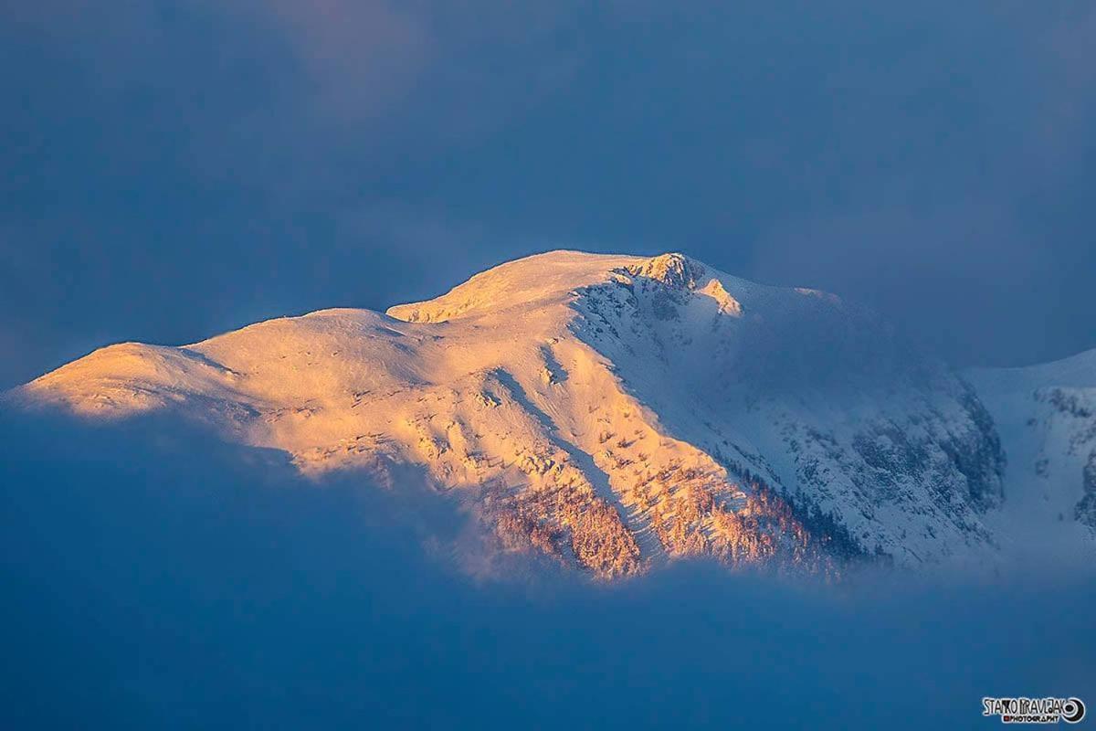 Vila Natur Pur Pikovo Crna na Koroskem Exteriér fotografie