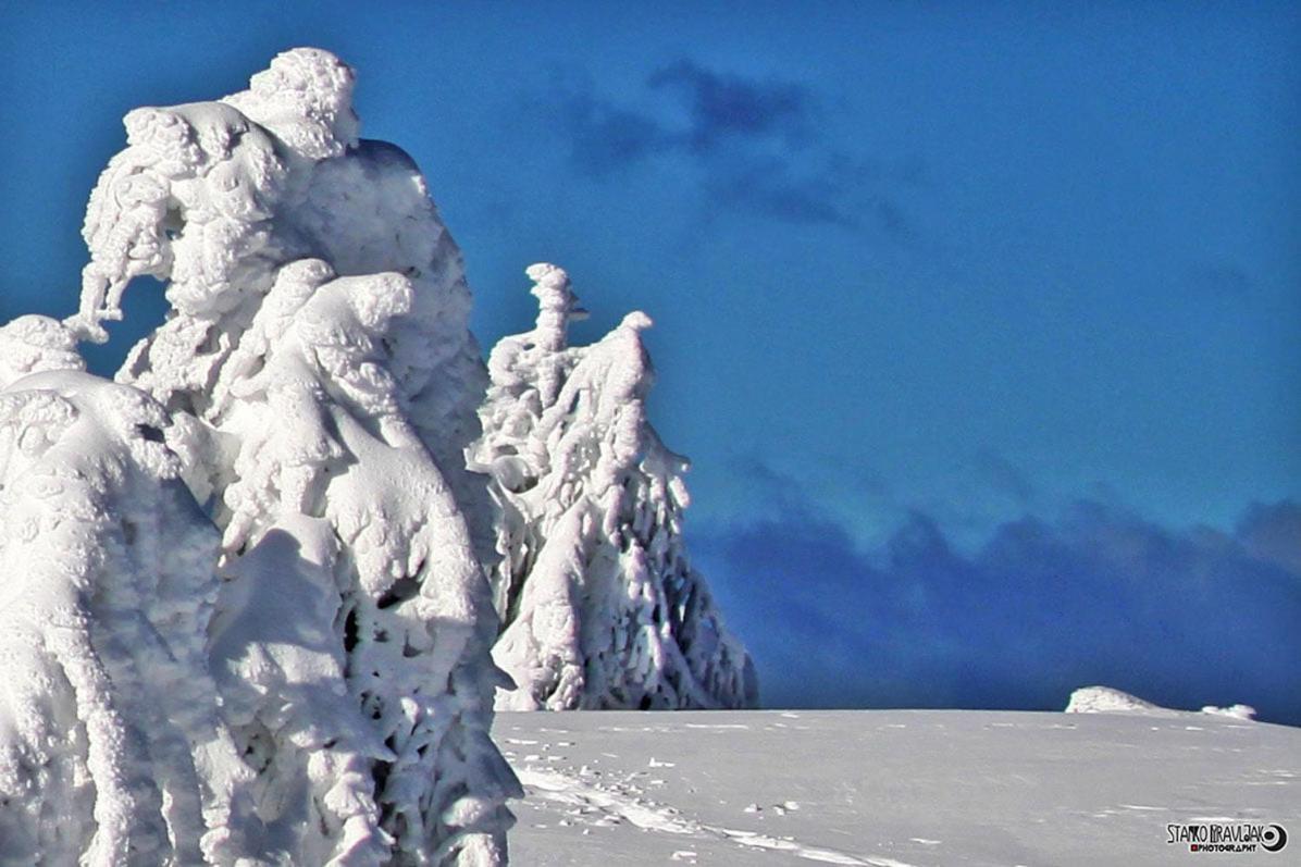 Vila Natur Pur Pikovo Crna na Koroskem Exteriér fotografie