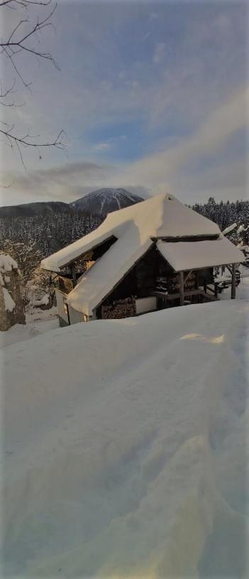 Vila Natur Pur Pikovo Crna na Koroskem Exteriér fotografie