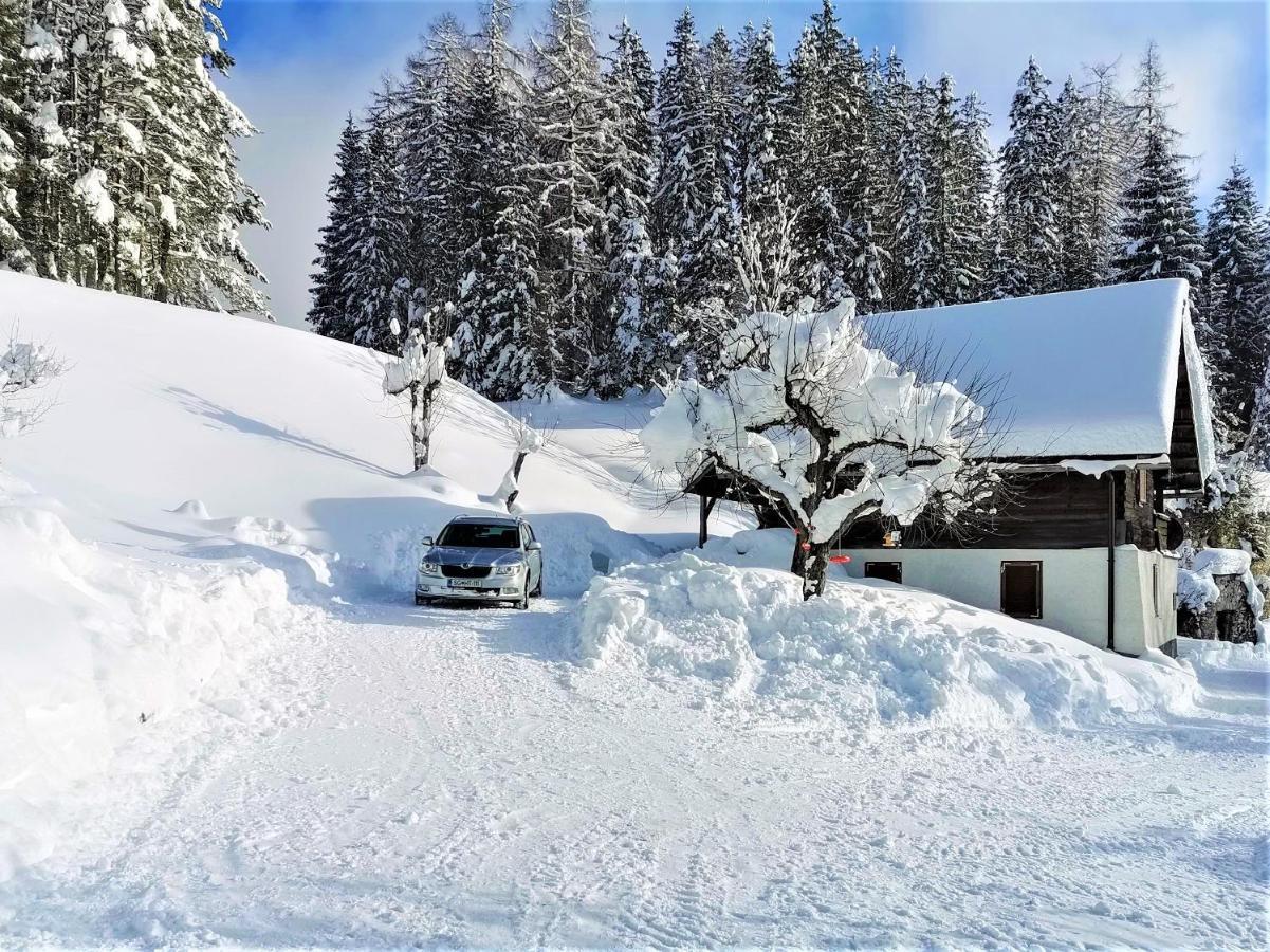 Vila Natur Pur Pikovo Crna na Koroskem Exteriér fotografie